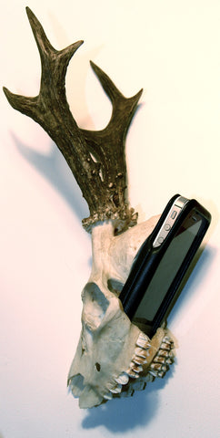 DeerSkullfone